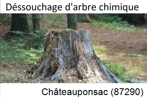 Elagueur déssouchage à Châteauponsac-87290
