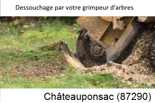 abattage d'arbres à Châteauponsac-87290