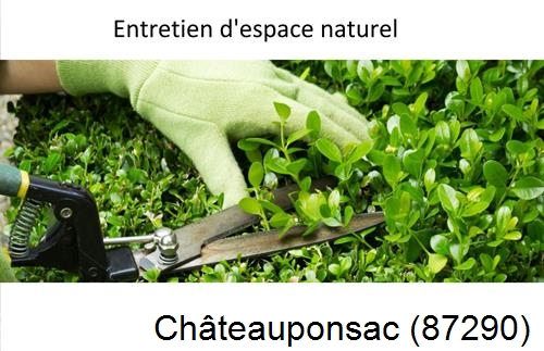 Rénovation jardin particulier Châteauponsac-87290