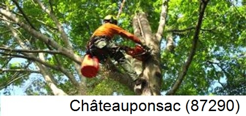 Déssouchage, étêtage d'arbres Châteauponsac-87290