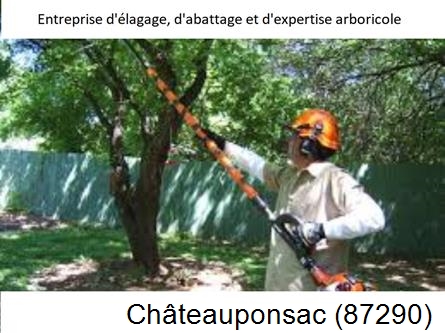 Coupe tête d'arbres Châteauponsac-87290