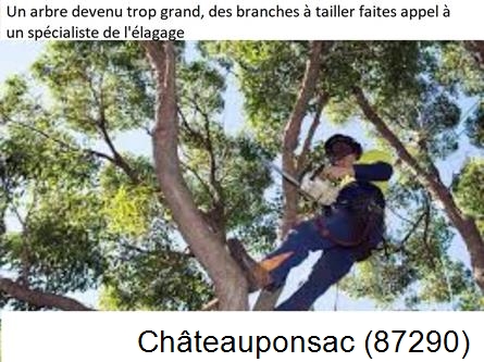 Elagueur qualifié à Châteauponsac-87290