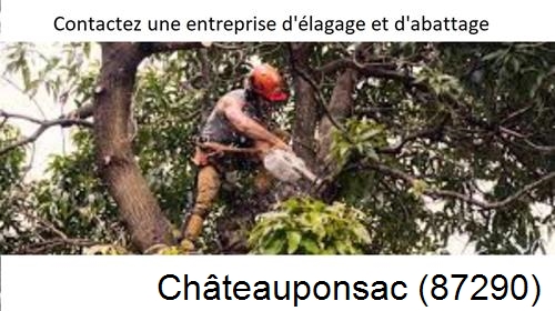 Entreprise d'élagage à Châteauponsac-87290