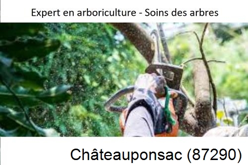 Elagage en sécurité à Châteauponsac-87290