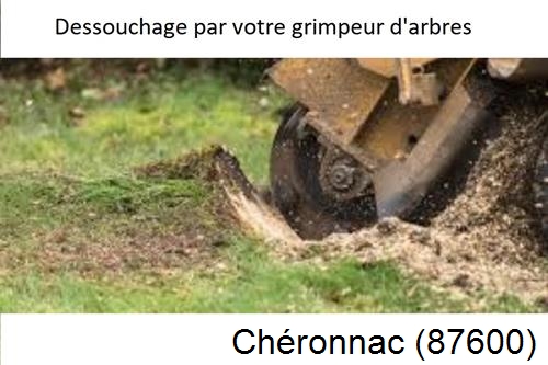 abattage d'arbres à Chéronnac-87600