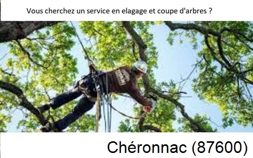 Etêtage d'arbres à Chéronnac-87600