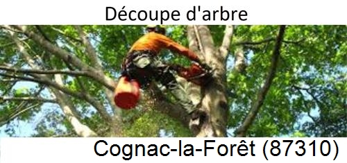 Entreprise du paysage Cognac-la-Forêt-87310
