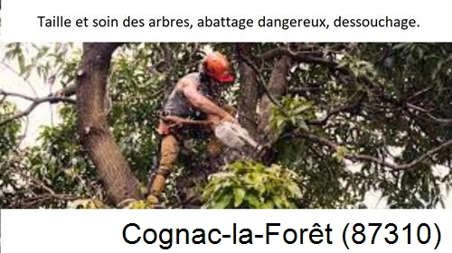Abattage d'arbres Cognac-la-Forêt-87310