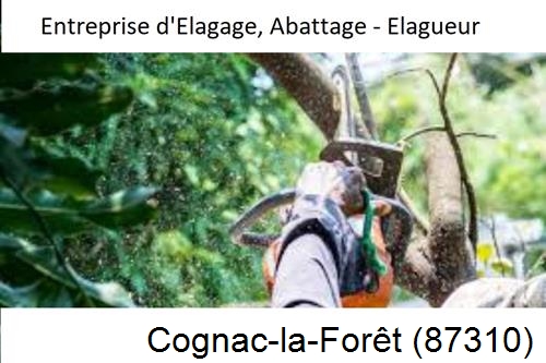 Travaux d'abattage d'arbres à Cognac-la-Forêt-87310