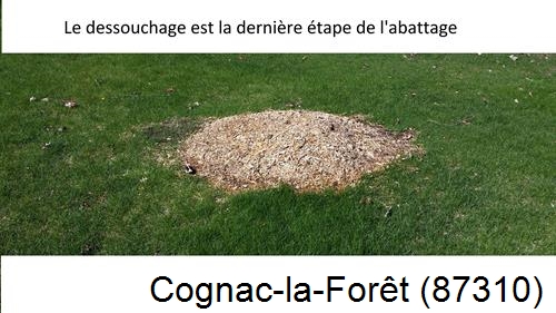 déssouchage d'arbres Cognac-la-Forêt-87310