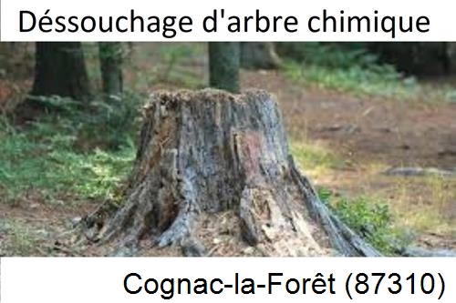 Elagueur déssouchage à Cognac-la-Forêt-87310