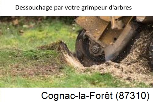 abattage d'arbres à Cognac-la-Forêt-87310
