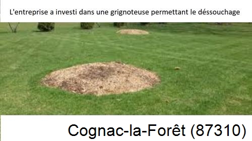 Artisan pour déssouchage d'arbres Cognac-la-Forêt-87310