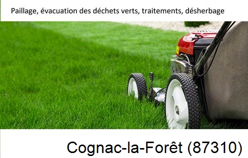 Entreprise de paysage pour entretien de jardin Cognac-la-Forêt-87310