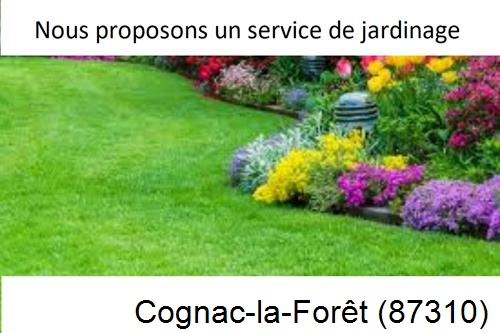 Paysagiste, travaux extérieur Cognac-la-Forêt-87310
