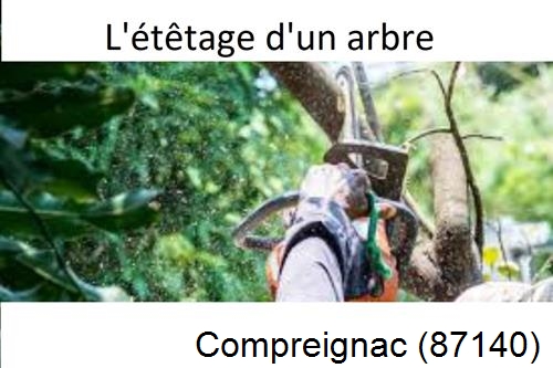 Artisan Abatteur d'arbres Compreignac-87140