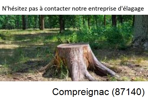 Elagage d'arbres à Compreignac-87140