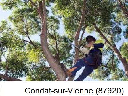Elagueur à Condat-sur-Vienne-87920