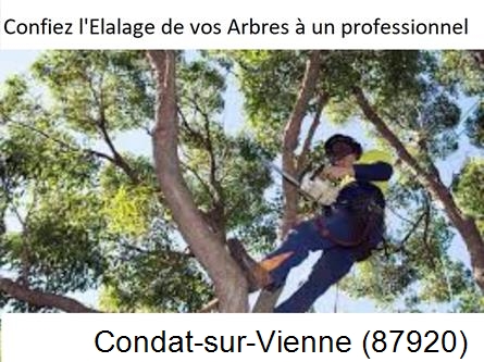 Société d'élagage à Condat-sur-Vienne-87920