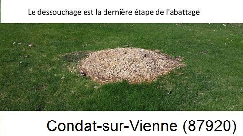 déssouchage d'arbres Condat-sur-Vienne-87920