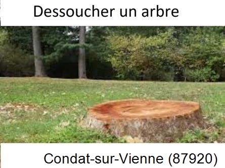 Travaux d'entretien extérieur Condat-sur-Vienne-87920