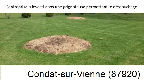 Artisan pour déssouchage d'arbres Condat-sur-Vienne-87920