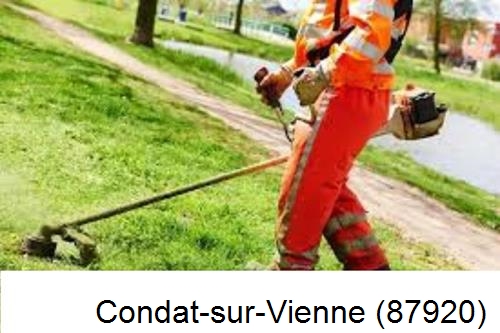 Entretien d'un jardin Condat-sur-Vienne-87920