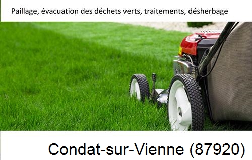 Entreprise de paysage pour entretien de jardin Condat-sur-Vienne-87920