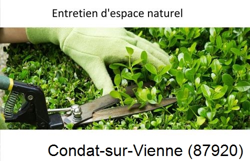 Rénovation jardin particulier Condat-sur-Vienne-87920
