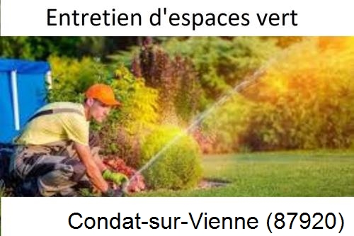 Aménagement extérieur à Condat-sur-Vienne-87920