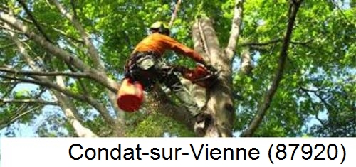 Déssouchage, étêtage d'arbres Condat-sur-Vienne-87920