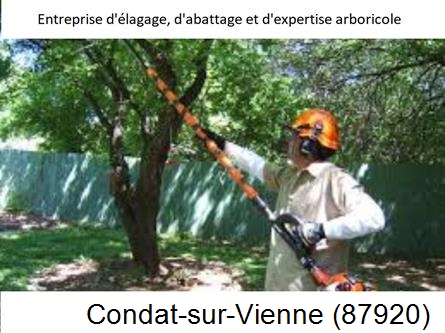 Coupe tête d'arbres Condat-sur-Vienne-87920