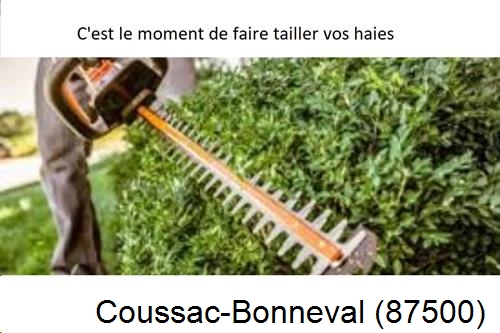 Entreprise de paysage Coussac-Bonneval-87500