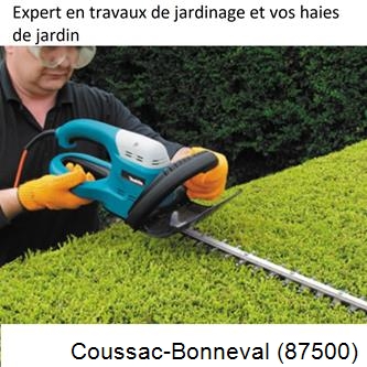 Taille et entretien jardin Coussac-Bonneval-87500