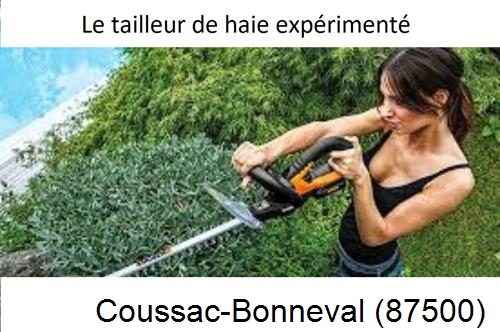 entretien jardin à Coussac-Bonneval-87500