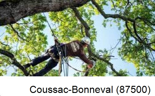 Abattage d'arbres chez un particulier Coussac-Bonneval-87500