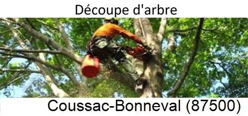 Entreprise du paysage Coussac-Bonneval-87500