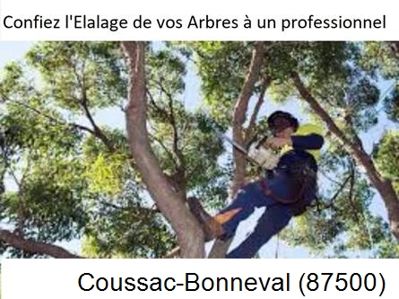 Société d'élagage à Coussac-Bonneval-87500