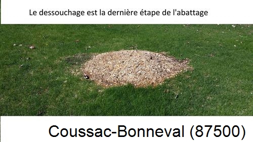 déssouchage d'arbres Coussac-Bonneval-87500