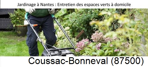 Travaux d'entretien exterieur Coussac-Bonneval-87500