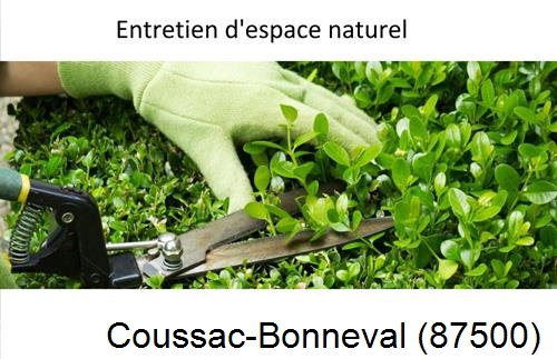 Rénovation jardin particulier Coussac-Bonneval-87500