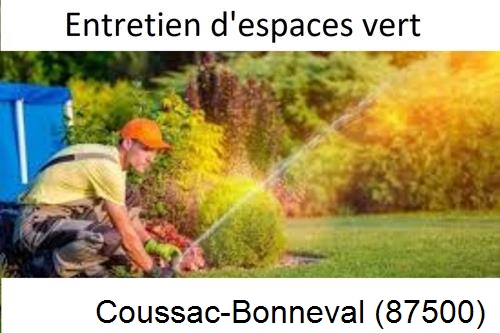 Aménagement extérieur à Coussac-Bonneval-87500
