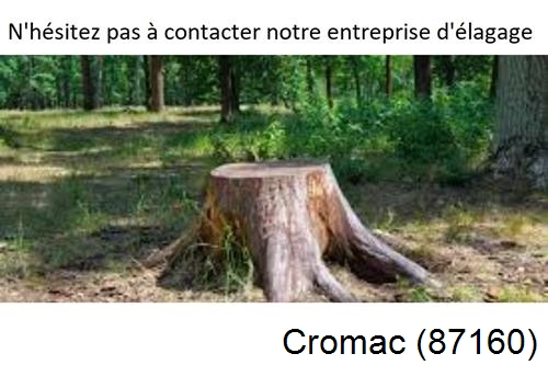 Elagage d'arbres à Cromac-87160