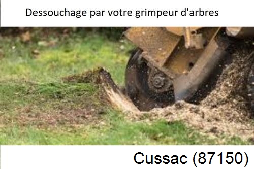 abattage d'arbres à Cussac-87150