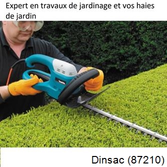 Taille et entretien jardin Dinsac-87210