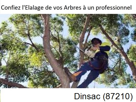 Société d'élagage à Dinsac-87210