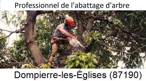 Elagage d'arbres Dompierre-les-Églises-87190