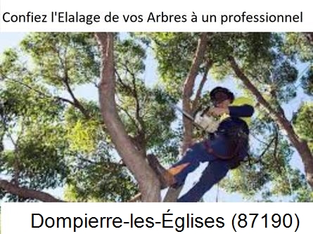 Société d'élagage à Dompierre-les-Églises-87190