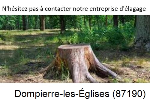 Elagage d'arbres à Dompierre-les-Églises-87190
