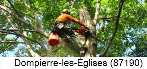 Déssouchage, étêtage d'arbres Dompierre-les-Églises-87190